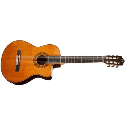 TANGLEWOOD EM DC 5
