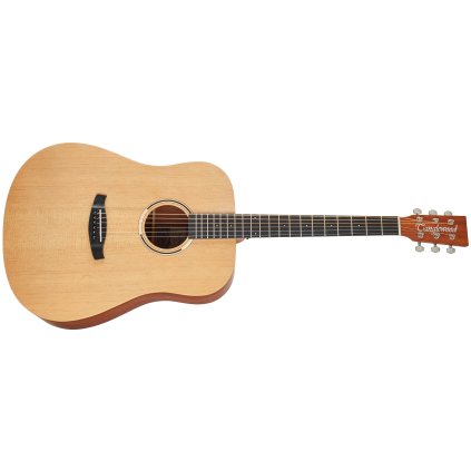 TANGLEWOOD TR5