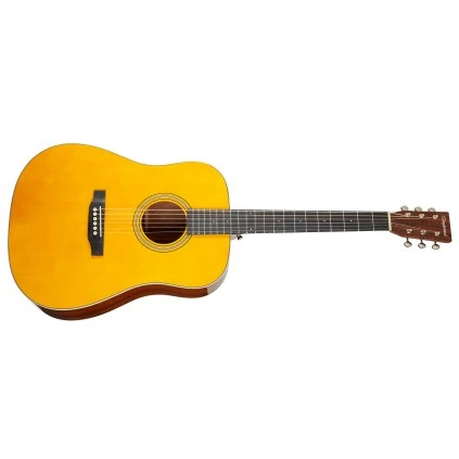 TANGLEWOOD TW40DANE