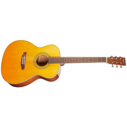TANGLEWOOD TW40OANE
