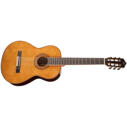TANGLEWOOD EM D3