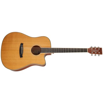 TANGLEWOOD TW5 CE NA