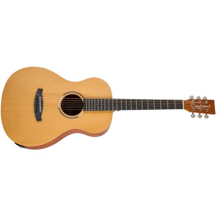 TANGLEWOOD TR8E