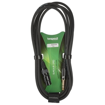 BESPECO EASXF300