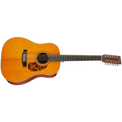 TANGLEWOOD TW4012SDANE PG
