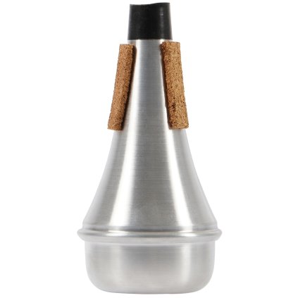 BACIO INSTRUMENTS TTM001