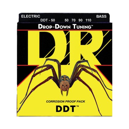 DR DDT 50 20230927 132430