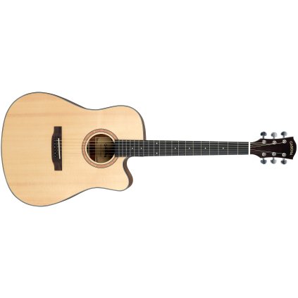CASCHA CGA300