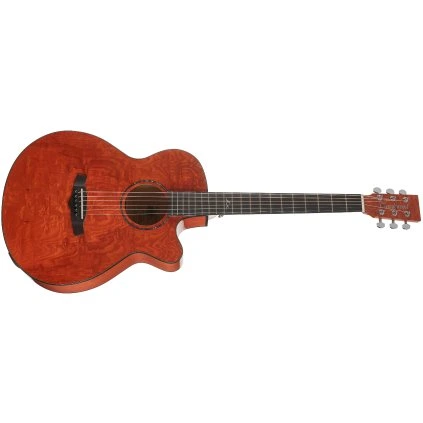 TANGLEWOOD TA4CE HN