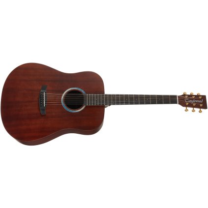 TANGLEWOOD TE5 BL