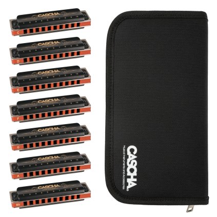 CASCHA Professional Blues Set