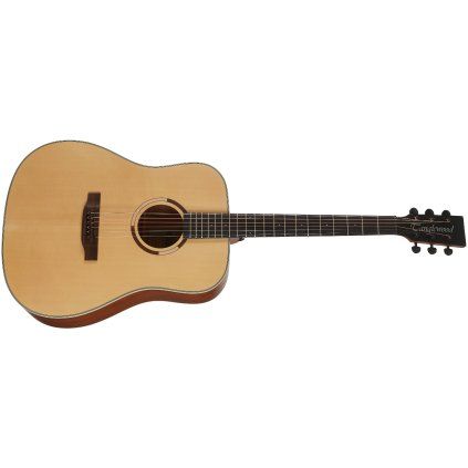 TANGLEWOOD TS5 (rozbalené)