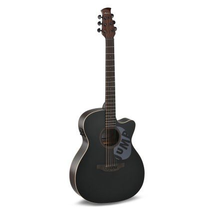 Applause E – akustická 6-str. gitara