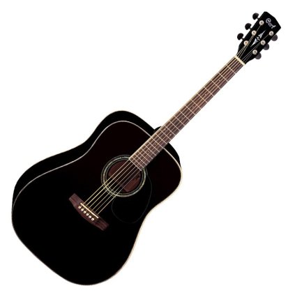 CORT Earth 100 BK