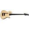 GODIN A4 Ultra Natural Fretless A/E with Bag