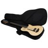 GODIN A5 Ultra Natural Fretless A/E with Bag