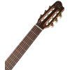 GODIN Arena CW Clasica II
