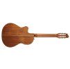 GODIN Arena Mahogany CW Clasica II