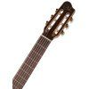 GODIN Arena Mahogany CW Clasica II