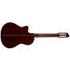 GODIN Arena Pro CW Bourbon Burst EQ
