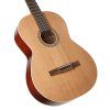 GODIN Etude LEFT