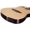 GODIN Multiac Nylon SA Natural HG
