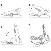GUITTO GGS-02 Crocodile Guitar Stand