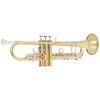 ARNOLDS & SONS ATR-8843 Terra