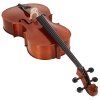 BACIO INSTRUMENTS Advanced Cello AC50 7/8