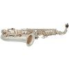 BACIO INSTRUMENTS BAS-100SG
