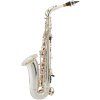 BACIO INSTRUMENTS BAS-100SG
