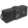 BACIO INSTRUMENTS BASC010