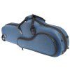 BACIO INSTRUMENTS BASC030 Blue