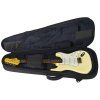 MUSIC AREA AA31 Electric Guitar Case
