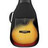 MUSIC AREA HAN PRO Acoustic Guitar Case