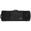 BACIO INSTRUMENTS BBTC260