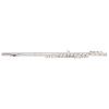 BACIO INSTRUMENTS BFL-150C