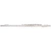 BACIO INSTRUMENTS BFL-150C