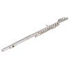 BACIO INSTRUMENTS BFL-150C