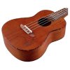 17043 2 ortega ru5mm koncertne ukulele natural