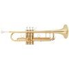 BACIO INSTRUMENTS BTR-150