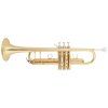BACIO INSTRUMENTS BTR-150