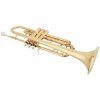 BACIO INSTRUMENTS BTR-150