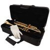 BACIO INSTRUMENTS BTR-150