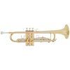 BACIO INSTRUMENTS BTR-100