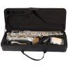 BACIO INSTRUMENTS BTS-100SG