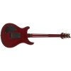 PRS DGT Birds Dark Cherry Sunburst