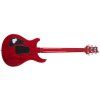 PRS SE Custom 24 Floyd Charcoal Cherry Burst