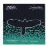 PRS Signature Strings Heavy