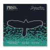 PRS Signature Strings, Heavy